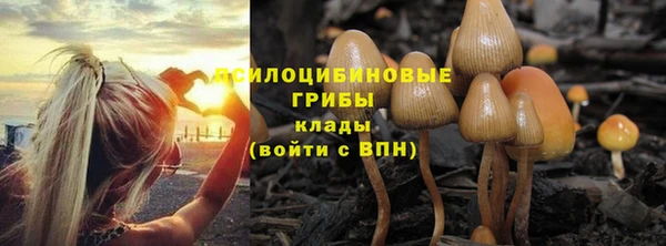 трава Вязьма