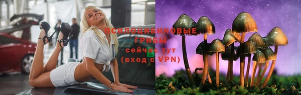 трава Вязьма