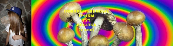 дмт Вяземский