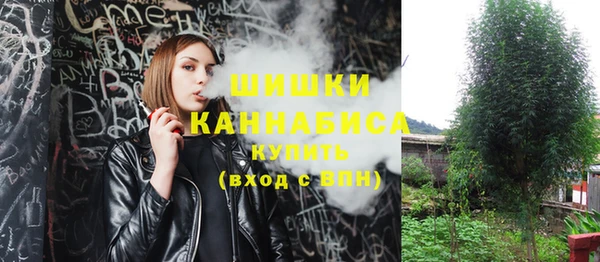 дмт Вяземский