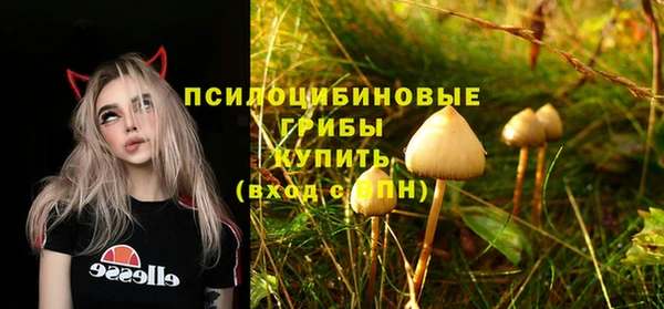 трава Вязьма
