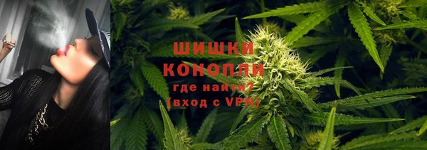 трава Вязьма